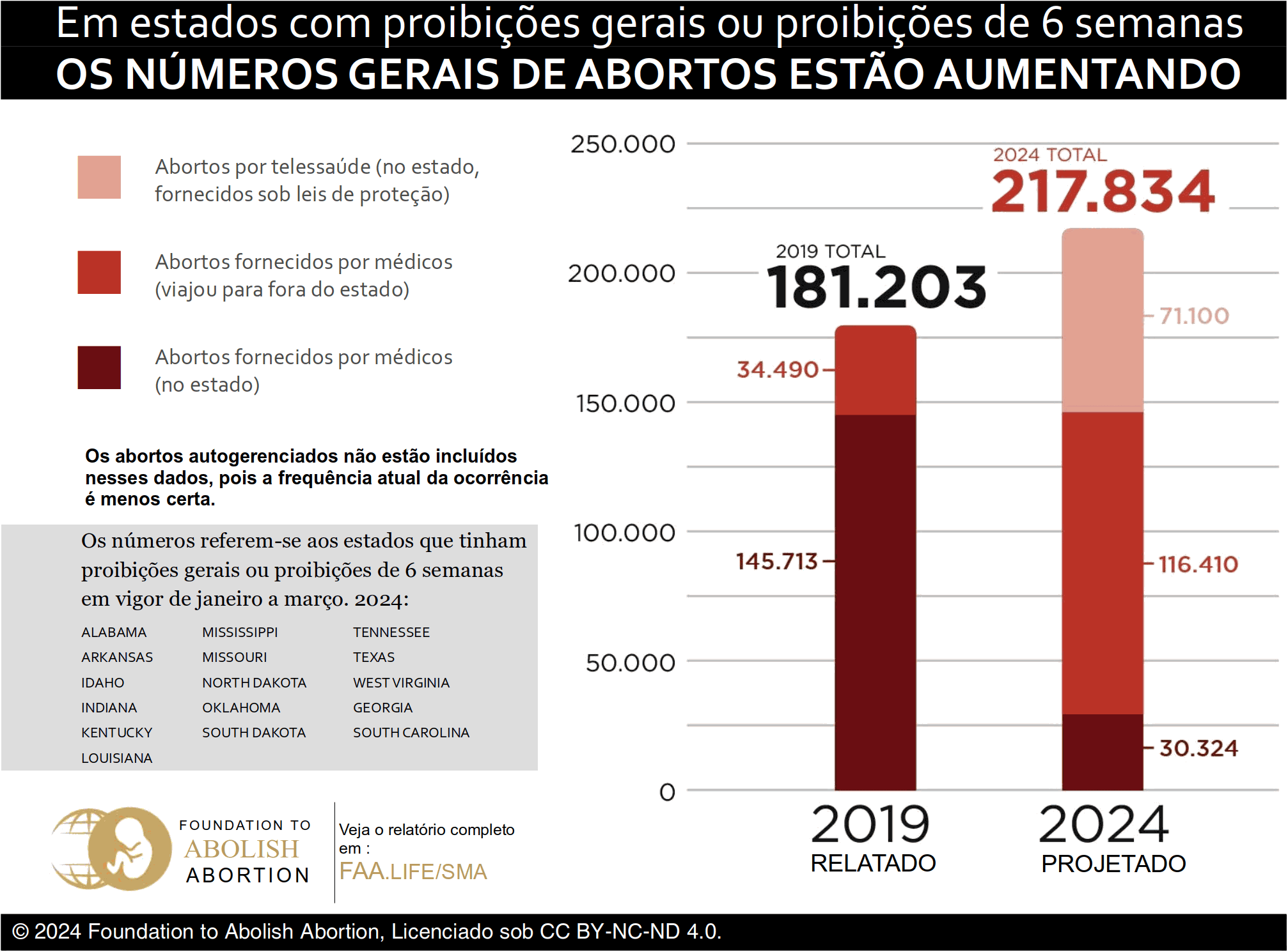 Números extraídos do relatório 'Babies Unprotected' da FAA de outubro de 2024